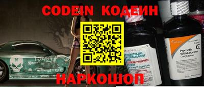 мдпв Камышлов