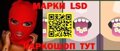 мдпв Камышлов
