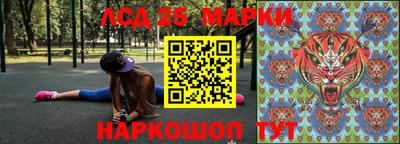 мдпв Камышлов