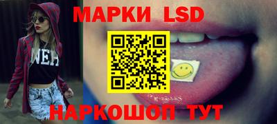 мдпв Камышлов