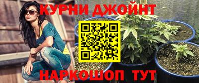 Альфа ПВП Канаш