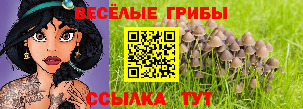 Лангепас  Галлюциногенные грибы Psilocybe  Вход с VPN  Галлюциногенные грибы GOLDEN TEACHER 